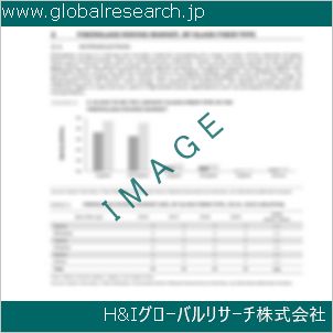 グローバルリサーチ調査資料のイメージ